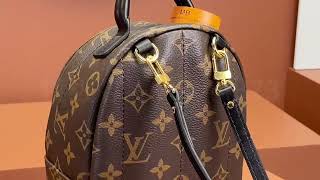 LV Palm Springs Mini BAG M44873