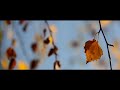 Canon 200D Mark II Cinematic Video | Camera Quality Test