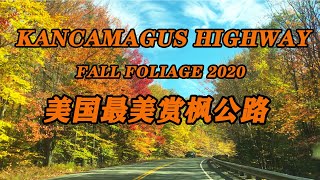 Kancamagus Highway Fall Foliage 2020 ～ 美国最美赏枫公路