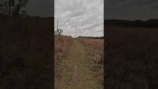 Exploring the Prairie at Luton Park | Short 2 | #shorts  #hiking #easyhike #nature #autumnhike