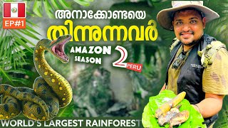 Amazon1 | Anaconda🐍 Mysterious Forest In The World | Amazon | അമസോണിലെ അത്ഭുത കാഴ്ച്ച 🇵🇪