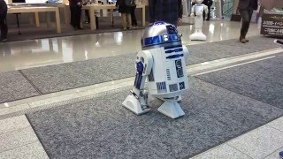 R2-D2 移動式冷蔵庫