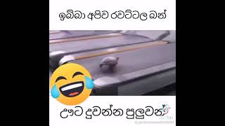 සිංහල ආතල් 83