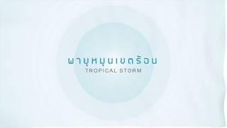 เพลงพายุหมุนเขตร้อน