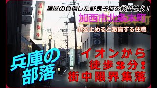 《兵庫の部落》イオンから徒歩3分に広がる街中限界集落！禁断の路地裏（総集編）車を止めると激高する住職＋廃屋の負傷した野良子猫を救出せよ！《兵庫県加西市北条本町》#廃墟#路地裏#昭和#暴力団#酒見寺