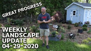 🏡👨‍🌾Weekly Landscape Update - Great Progress