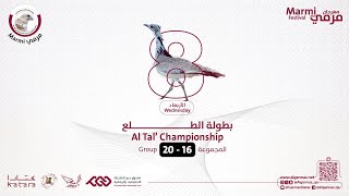 تصفيات بطولة الطلع المجموعات من 16- 20 - مرمي 2025