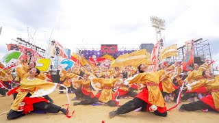 [4K] 大阪公立大学チーム朱蘭　こいや祭り 2023 日曜日