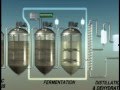 Biochemical Conversion of Biomass to Biofuels