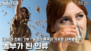 술을 마시면 왜 얼굴이 붉어질까? 농경과 목축의 시작, 그리고 음식의 변화가 가져온 인류 발달의 변천사 | 음식과 진화 2부 “농부가 된 인류” (KBS 130131 방송)