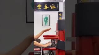 kung fu wing chun mook jong wooden dummy training