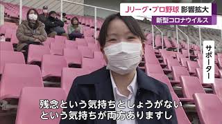 Jリーグ延期 プロ野球無観客試合 新型コロナウイルスの影響