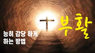 23.04.09 흑석중앙교회 주일예배