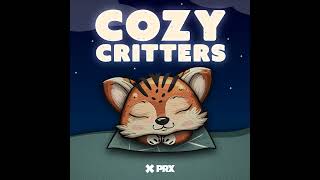 Chinchillas | Cozy Critters - Kids Sleep Podcast