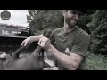 video shock how do hunters and american farmers deal with millions of wild boars with guns