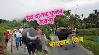 যুজৰ আগত মহ হাল ভয়ানক হৈ আছিল।।।।