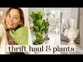 Thrift homeware haul, Christmas prep and new bargain plants from LIDL |  Vlog