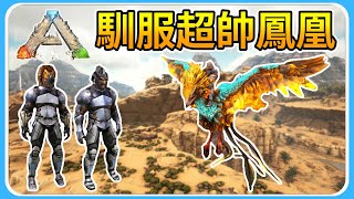 馴服全地圖只有一隻的鳳凰！？所有神器集齊？！【方舟：焦土 ARK：Survival Evolved Scorched Earth】#9