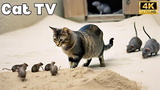 Ultimate Cat TV Game: Mice Digging, Hiding, and Playing in Holes!