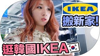 [Mira韓國生活] 搬家去IKEA看傢俱！猜我買了多少東西回家？| Mira 咪拉