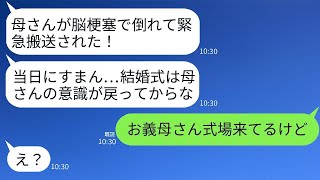 結婚式の日、新郎が義母が脳梗塞で入院したと連絡したが、義母は「今式場に到着したわ。式が楽しみね！」と答えた。式を中止するための大嘘をついたアフォ男の結末が笑えた。