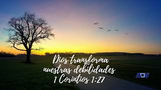 370. Dios transforma nuestras debilidades