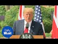 'Whatever you do is OK with us!' Trump reassures May re Brexit