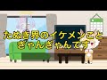 【2.5周年】全部良いカード トト メーラ カーネ公開迷ったら全部とろ 守護もおすすめ【アッシュテイル】