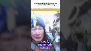 woolly mammoth discoveries