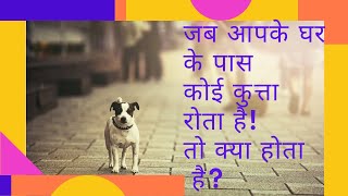 जब आपके घर के पास कोई कुत्ता रोता है! तो क्या होता है ?|| MOTIVATIONAL VIDEO || LIFE||