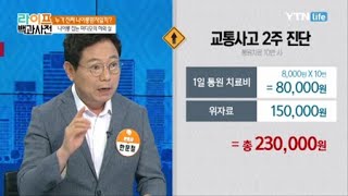 나이롱환자 잡는 마디모의 허와 실 / YTN 라이프