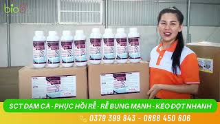 SCT ĐẠM CÁ (ĐẠM CÁ THỦY PHÂN CÔ ĐẶC) GIÚP PHỤC HỒI BỘ RỄ, RỄ BUNG MẠNH, KÉO ĐỌT NHANH