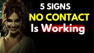 5 Signs the No Contact Rule is Working - Stoic Insights