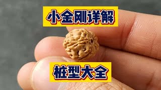 小金刚菩提详解之——桩型篇