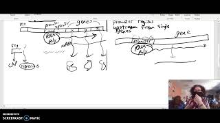 Mrs. Murdocks Review for Unit 6 Test