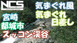 空撮　都城市　スッコン渓谷　気まぐれな風と日差しの渓谷