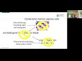 al amyloidosis treatment approaches