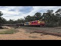 old emd bulldogs lead a passenger train in 2021 a66 and s306 on 707 s the grainlander u0026 pn grain