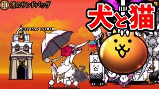 #39犬と超ねこ祭『にゃんこ大戦争』さとちん