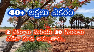 🌿2 ఎకరాల 30 గుంటల భూమి . 30 గుంటలు విడిగా అమ్ముతారు 📞 9110309492🌿