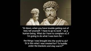 Stoicism | powerful quotes | quotes of leaders #motivation #stoicism