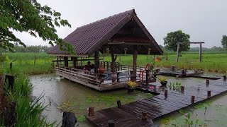 ในวันที่ฝนพรำ..บรรยากาศฝนตก🌧🌧  \