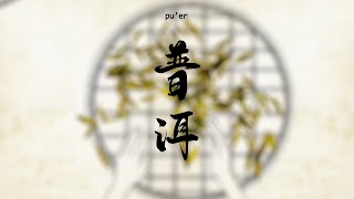 茶影｜普洱普洱 Pu’er