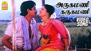 அருகமணி கருகமணி Arugamani Karugamani - Video Song  Mappillai Vanthachu | Rahman Gautami | Ilayaraaja