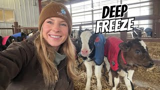 Surviving Wisconsin's First Zero-Degree Day ❄️ Calf Barn Chores \u0026 Snow Plow Prep!