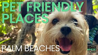 The BEST Dog-Friendly Spots in the Palm Beaches