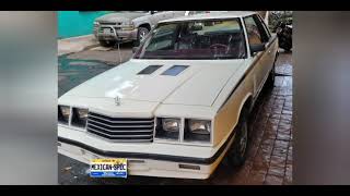 The Fastest Car In Mexico In 1985 - 1985 Mexican Spec Dodge Magnum - 40818A