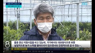 매년 감귤 수확하며 품종갱신