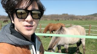 jeju island trip vlog, Самый красивый остров в Корее, 남자 혼자 3박4일 무계획 제주도여행