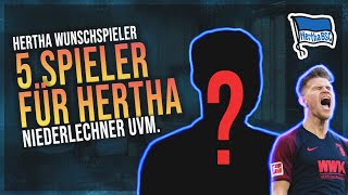 5 Transfers für Hertha: Meine Wunschspieler für den Sturm für MEHR Tore!